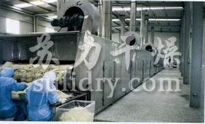 DWC系列脱水蔬菜带式干燥机