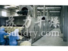 DWC系列脱水蔬菜带式干燥机