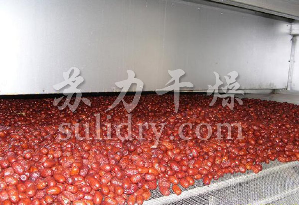 椰蓉专用带式干燥机