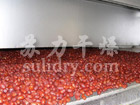 红枣专用带式干燥机