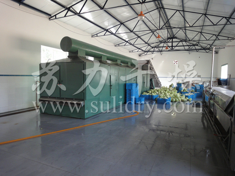 脱水蔬菜带式干燥机